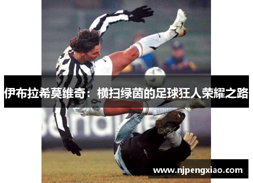 伊布拉希莫维奇：横扫绿茵的足球狂人荣耀之路