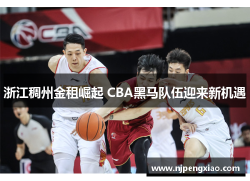 浙江稠州金租崛起 CBA黑马队伍迎来新机遇