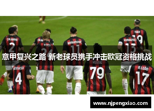 意甲复兴之路 新老球员携手冲击欧冠资格挑战