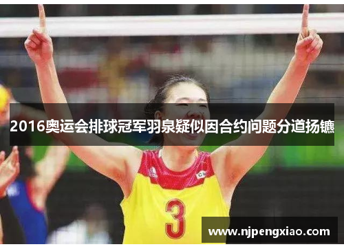2016奥运会排球冠军羽泉疑似因合约问题分道扬镳